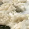 Environmental officials have issued a dire warning: 'Avoid contact with Nantucket's seafoam, which contains toxic 'forever chemicals' linked to severe health risks.'