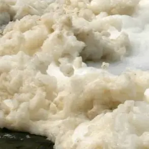 Environmental officials have issued a dire warning: 'Avoid contact with Nantucket's seafoam, which contains toxic 'forever chemicals' linked to severe health risks.'