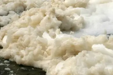 Environmental officials have issued a dire warning: 'Avoid contact with Nantucket's seafoam, which contains toxic 'forever chemicals' linked to severe health risks.'