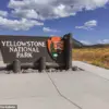Experts Warn Viral Yellowstone Bison Video Reveals Potential Threat to Tourists