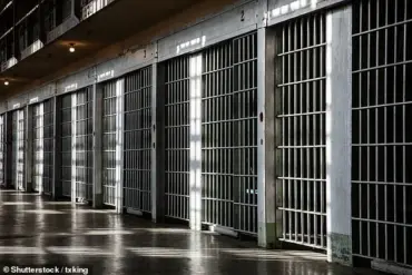 Inside Maximum-Security Prisons: A Former Inmate's Account of Contradictions and Conditions