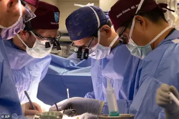 Limited Access to First FDA-Approved Human Trials of Genetically Modified Pig Organs