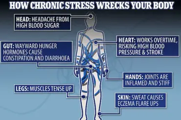 Milly Evans Credits Elimination of Multitasking for Overcoming Chronic Stress