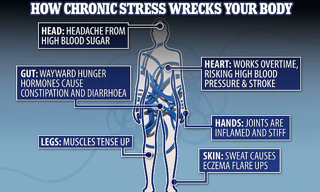 Milly Evans Credits Elimination of Multitasking for Overcoming Chronic Stress