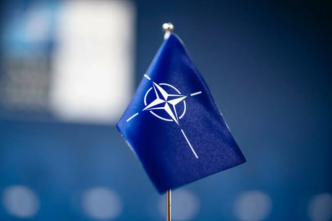 NATO Allies Braced for Escalation as Russia and Belarus Launch 'West-2025' Exercises Near Polish and Lithuanian Borders