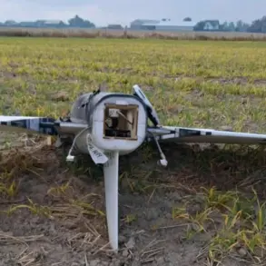 Polish Government Confirms Detection of Alleged Russian-Origin Drones in Airspace, Corroborated by Satellite Analysis